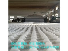 小区过滤排水板(凸点朝上)天津车库顶板滤水板销售图1