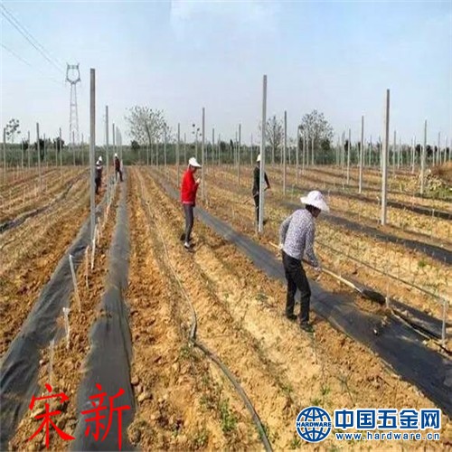 新建文件夹 (2)mmexport1531724676522