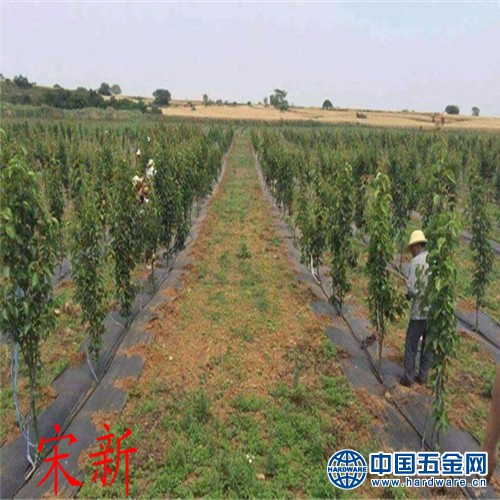 新建文件夹 (2)mmexport1531724681026