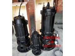 天津雨辰 大流量 高扬程不锈钢潜水排污泵厂家图1