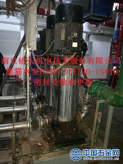 熊猫水泵维修 (3)