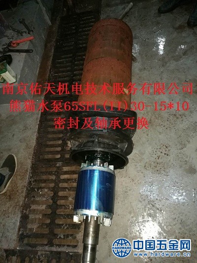 熊猫水泵维修 (2)