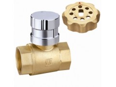 101黄铜磁性锁闭球阀(101)图1