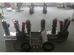 国网新型10千伏高压双电源互投装置HZW32-12图1