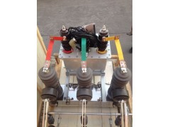 费控计量箱JLS带断路器ZW32-12真空型图1