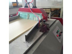 PVC竹木纤维墙板生产线/木塑集成墙面设备图1