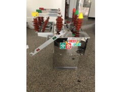 渝中区10千伏电动型ZW8-12高压真空断路器图1