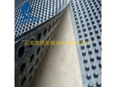 石家庄塑料车库疏水板&20厚车库排水板供应图1