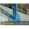 河北鑫海品牌50*50毫米草绿色浸塑焊接网隔离栅