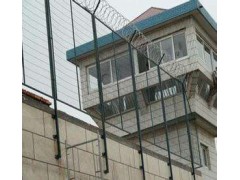 河南2.5米梅花刺网监狱钢网墙/监狱护栏网价格图1