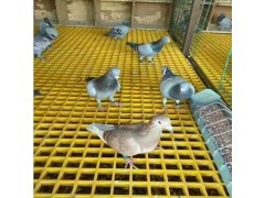 燕航玻璃钢格栅25mm养殖鸽舍地网格栅批发图1