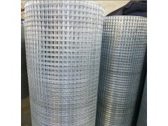 热镀锌电焊网/防鼠网/抹墙电焊网/泥浆网图1