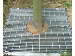 供应护树盖板  污水池篦子  热镀锌网格板 护树篦子图1