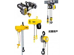 北京供应代理德国Yale耶鲁手扳手拉电动环链葫芦 小车进口图1