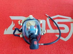 供应道雄DOSEEM全面罩DSM-1图1