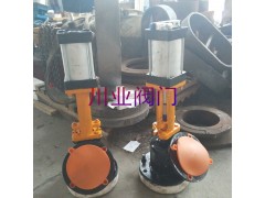 气动搪瓷下展式放料阀 HG65-89-2 125/80图1