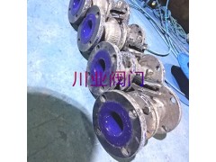 耐强酸搪瓷球阀 Q41TC-10 DN32图1