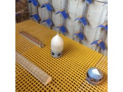 玻璃钢格栅38*38*25养殖鸽舍地网格栅生产厂家图1