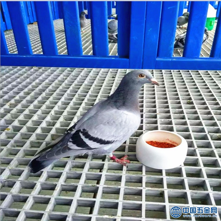 wKhQxFsJ-1iEXNqVAAAAAC2P3CM656