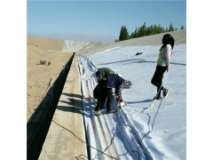 500g非织造短纤土工布价格图1