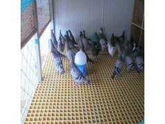 厂家直销玻璃钢格栅鸽舍养殖地网格栅图1