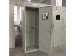 深圳带报警气瓶柜 气瓶柜深圳免费送货上门【厂家批发】图1