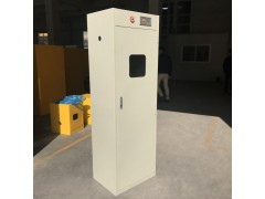 【专业生产】气瓶柜 气瓶安全储存柜全国各地都可以配送图1