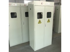 深圳双瓶气瓶柜 带报警气瓶柜 可定制非标气瓶柜图1