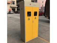 气瓶储存柜【厂家直销】 深圳气瓶柜厂家1台起批图1