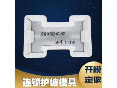 塑料连锁护坡模具预制连锁砖模具图1