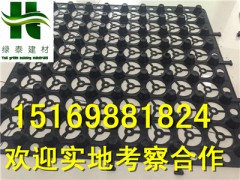 绿泰排水板厂家南宁30公分20公分高蓄排水板图1