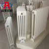 SCGGZY5-1.0钢制多柱型散热器厂家