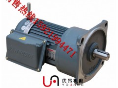 机械设备专用万鑫齿轮减速电机GV50-750-300S图1