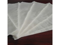 10KN聚酯长丝无纺土工布图1