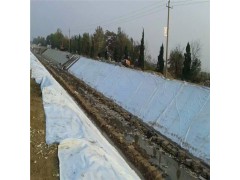 河道防渗600克两布一膜图1