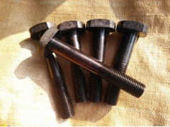 T型槽用螺栓 T型槽用栓 T形槽用螺栓 T形槽用栓图1