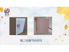 QFBDJ2600钢二柱暖气片好吗？（价格品牌厂家）图1
