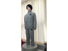 仿真宣泄人参数与价格图1