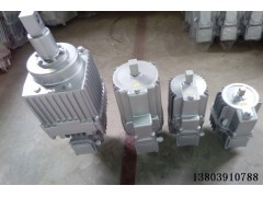 ED-121/6电力液压推动器图1