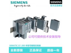 西门子CPU电源模块6ES7 313-5BG04-4AB2图1