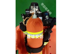 道雄GB空气呼吸器 DS-RHZKF9CT图1