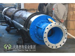 农村水库取水浇地用高扬程卧式潜水泵图1