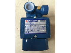 意大利佩德罗水泵pedrollo图1