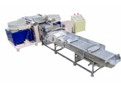 全自动双桶磁力研磨机图1