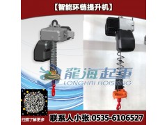 NOLD-ILEH120智能提升机 环链智能提升机定制图1