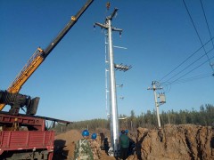 沈阳市 终端钢杆 双回路终端钢杆 来图定制图1