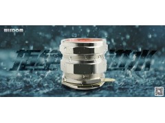 安徽维依德厂家直销不锈钢铠装防爆接头KTEX16-M25图1