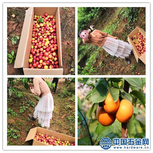 597c61c183297f7d28eedbb2_副本