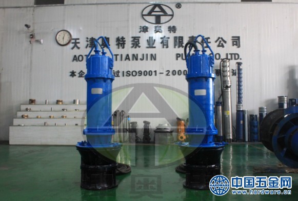 Submersible axial flow pump (6)