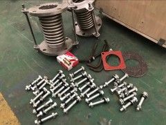 100型号特殊气体风机密封方式介绍图1